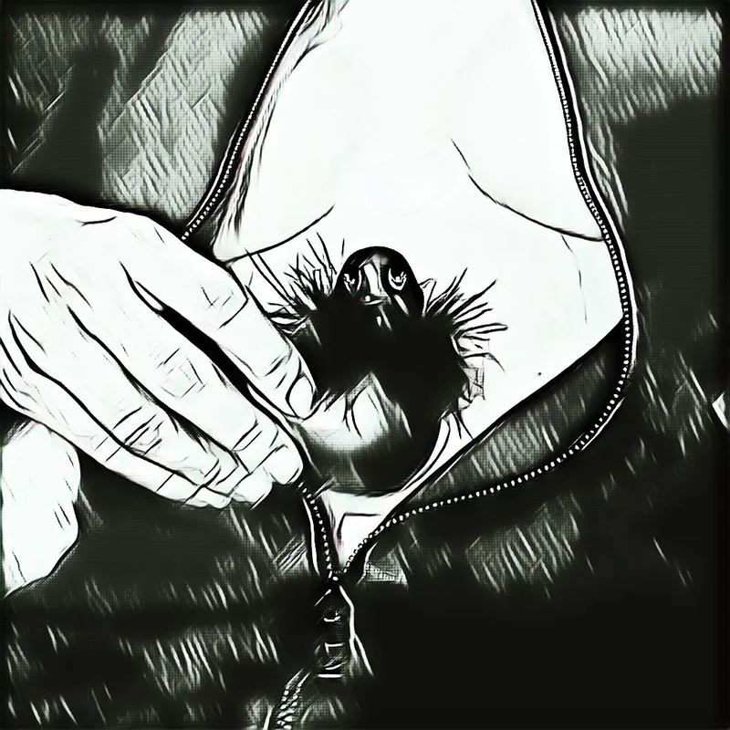 Série photo artistique décalée en style bande dessinée